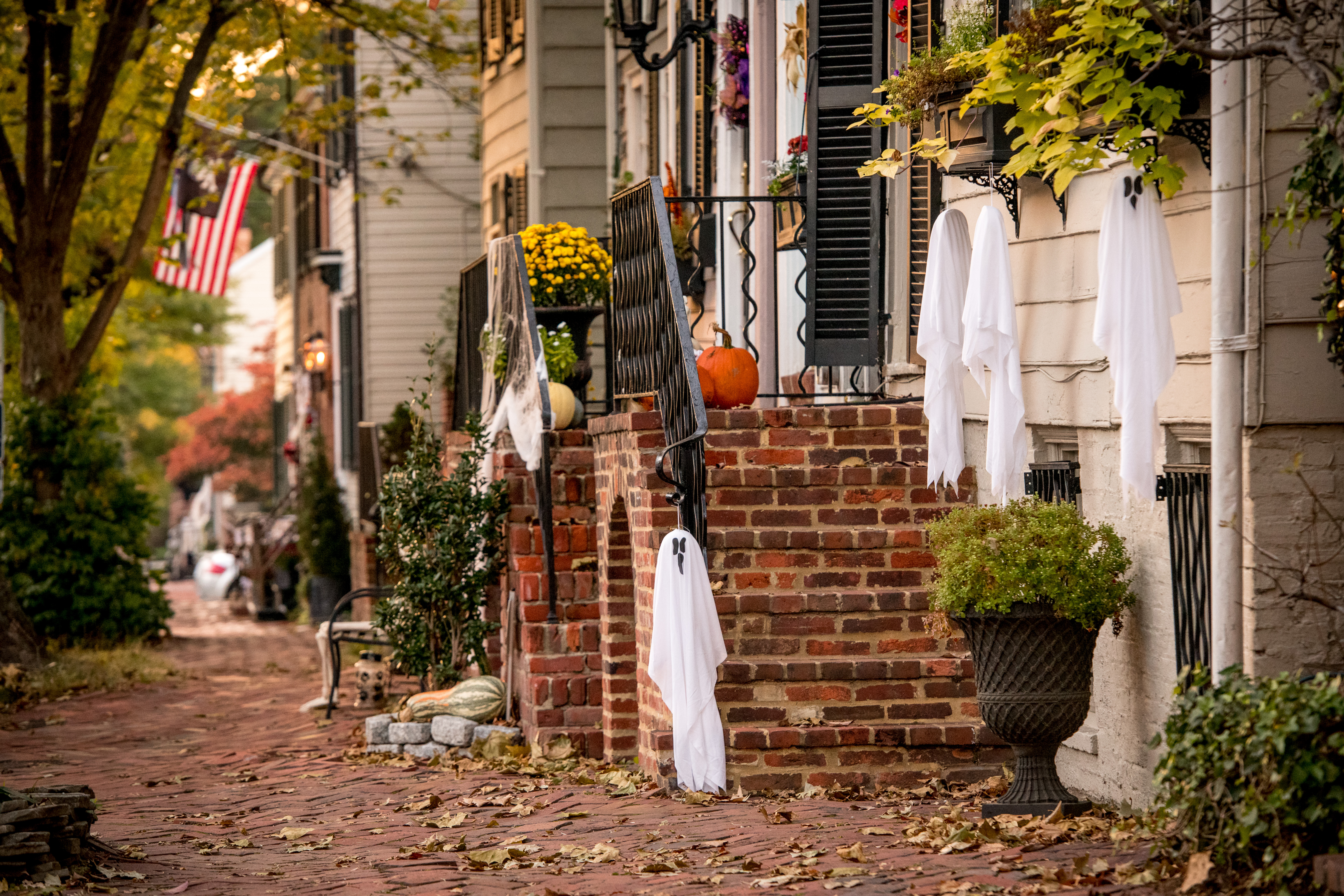 Spooky Fun and Fall Foliage in Alexandria, Virginia