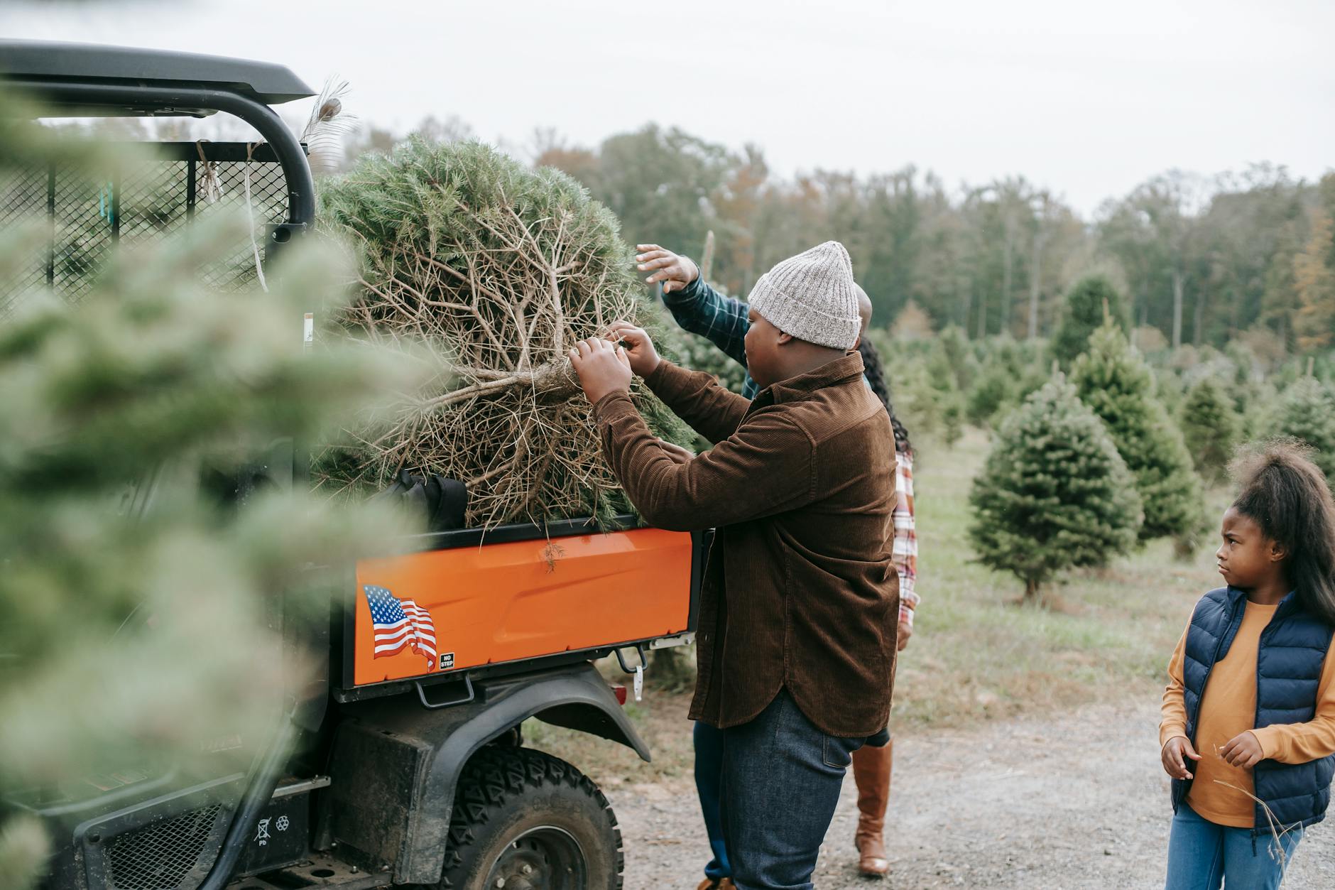 Turns Out, Your Christmas Tree Probably Came From This Southern State
