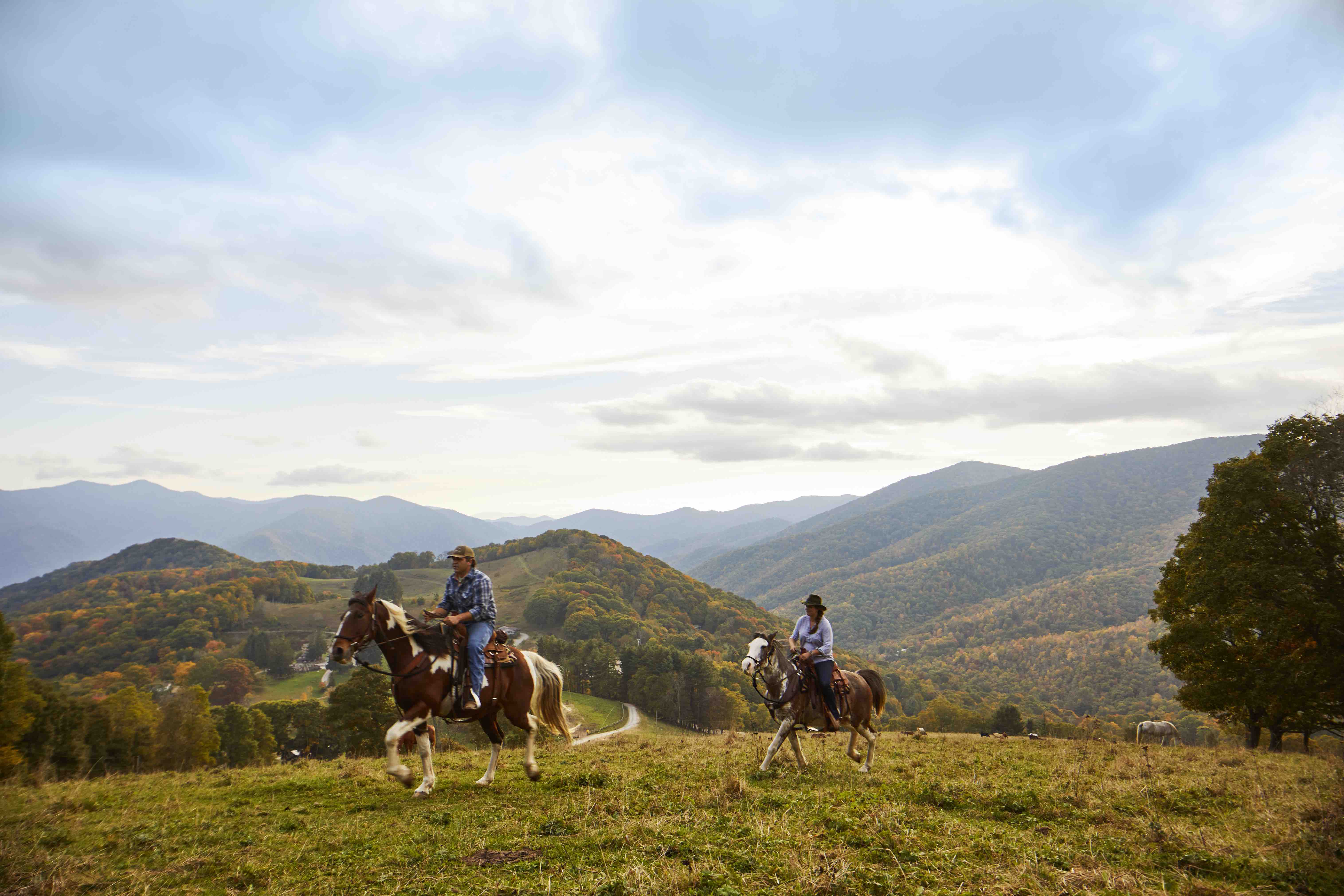 A Cozy Escape to Cataloochee Ranch