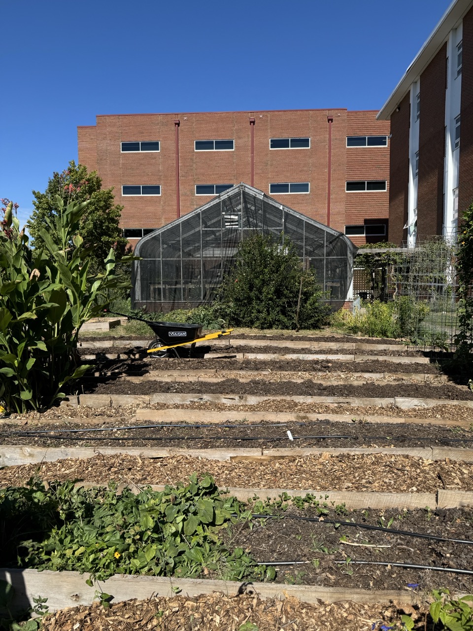 How a Nashville Farm is Cooling Down the City and Feeding the Community