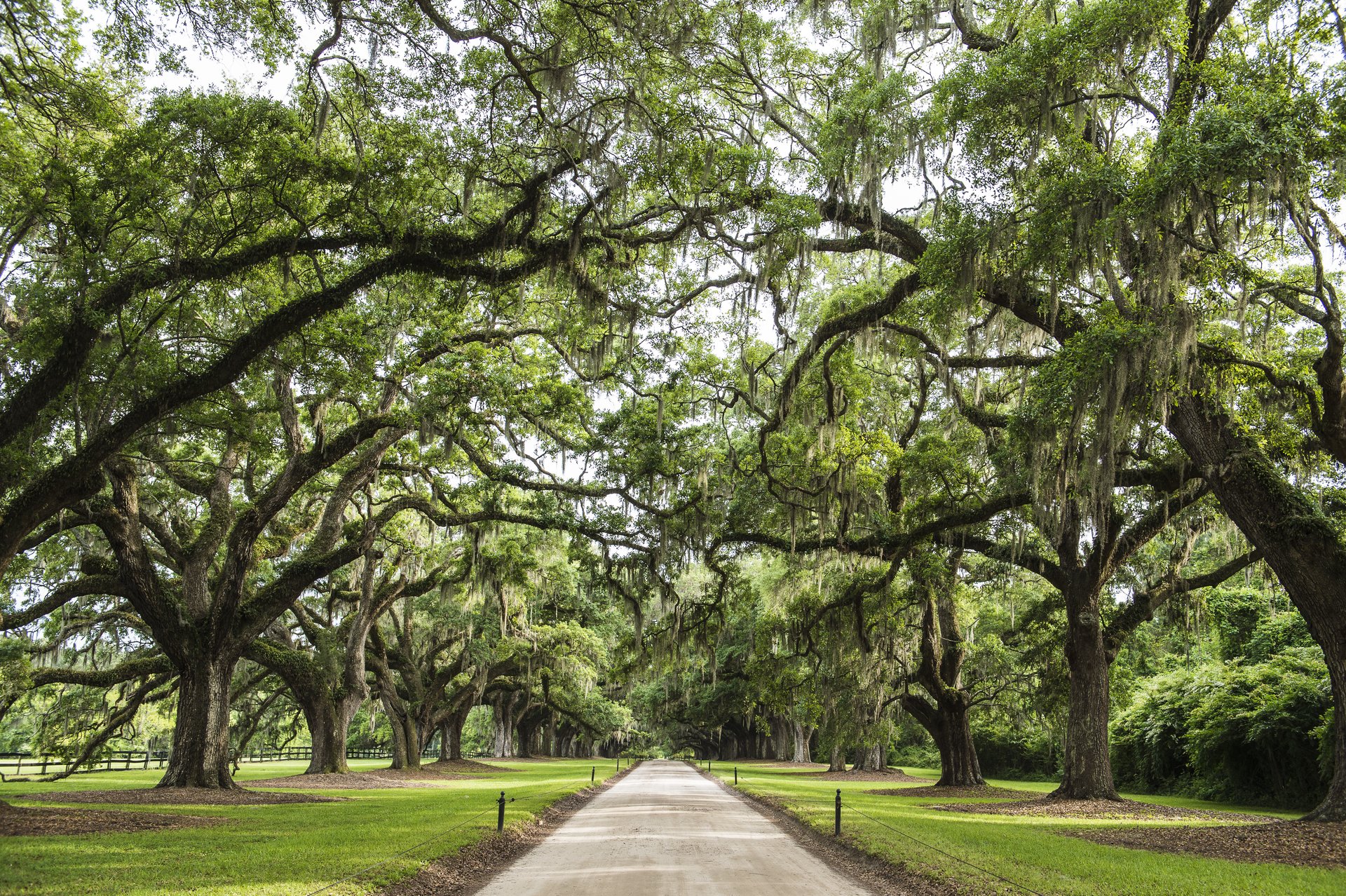 Where The White Lotus Should Head Next—Southern Edition