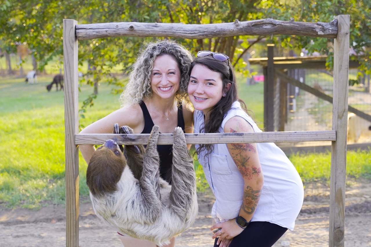 From Cow Hugs to Sloth Sips: The Best Animal Encounters in the South