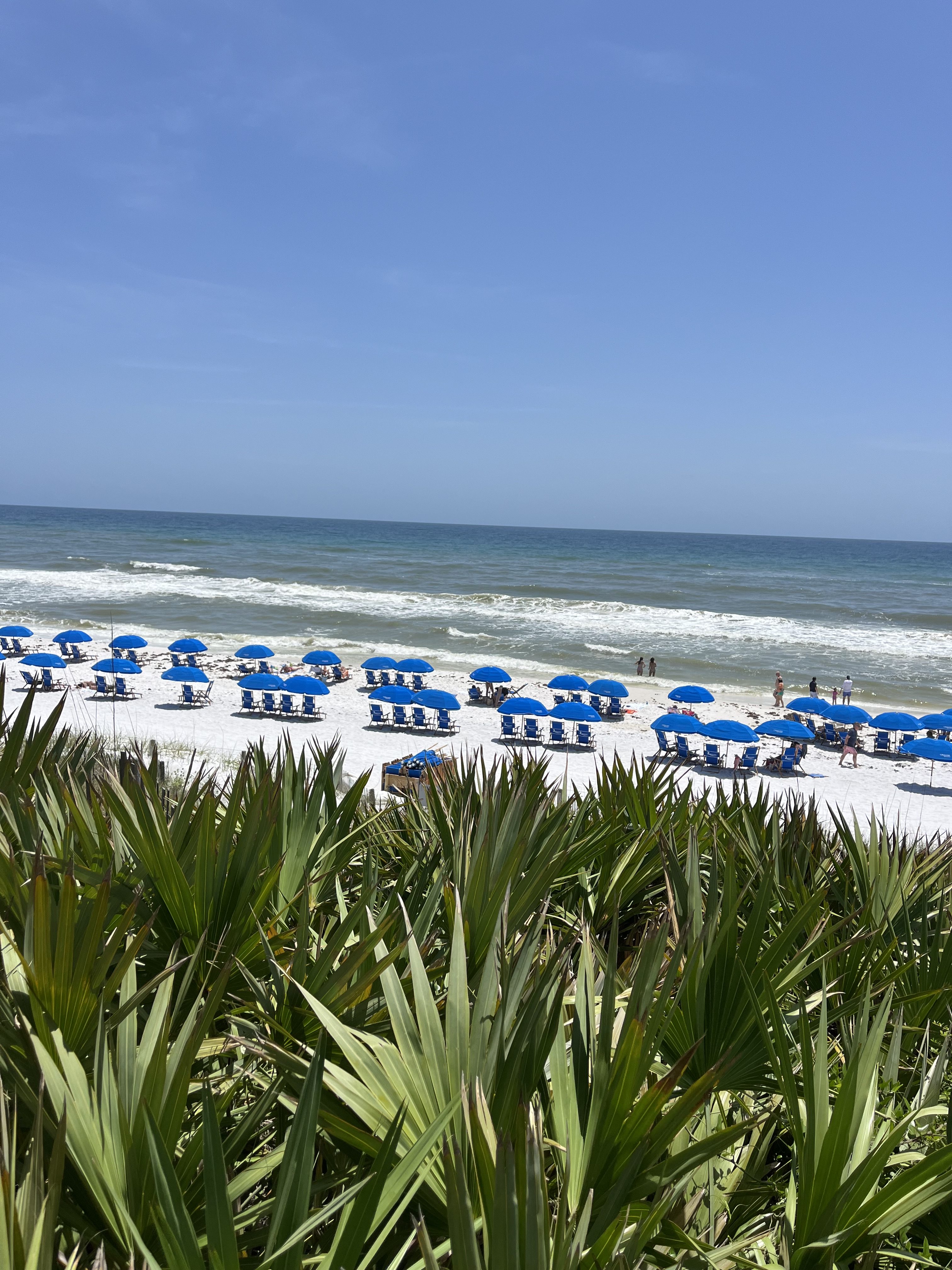 Where to Eat, Stay, and Play in 30A 