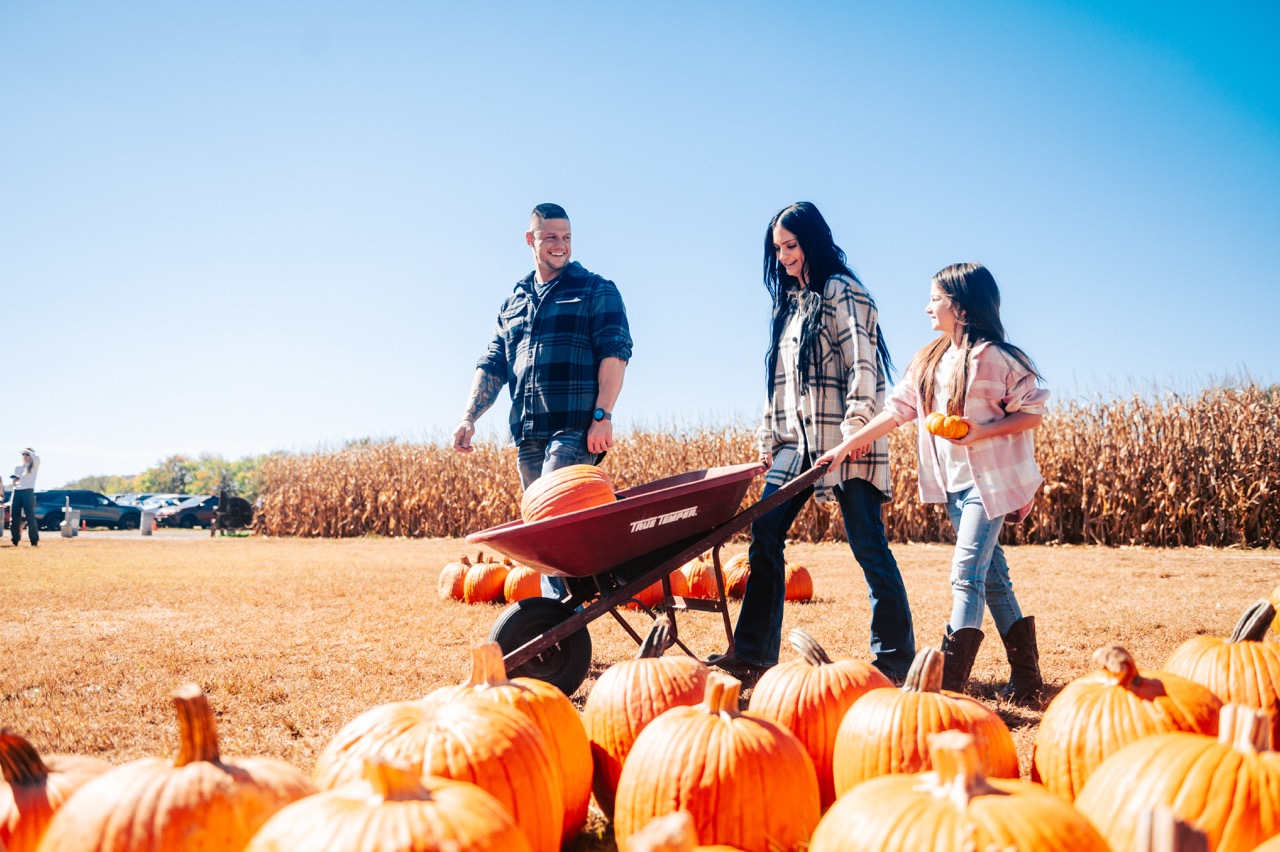 The South’s Best Pumpkin Patches, Corn Mazes, and Fall Festivals