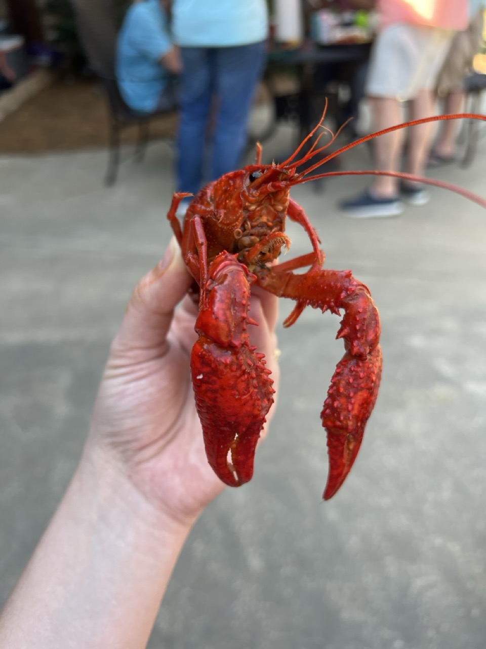 Nashville’s Getting a Crawfish Festival—And Modern South is Helping Make It Happen