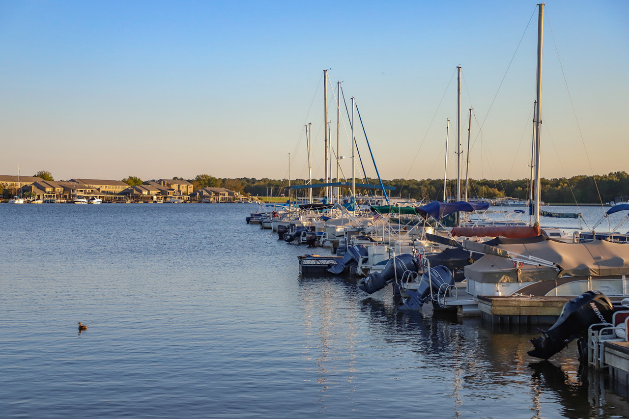 Ridgeland, Mississippi, Is One of the South’s Best Birdwatching Destinations (Everything You Need to Know)