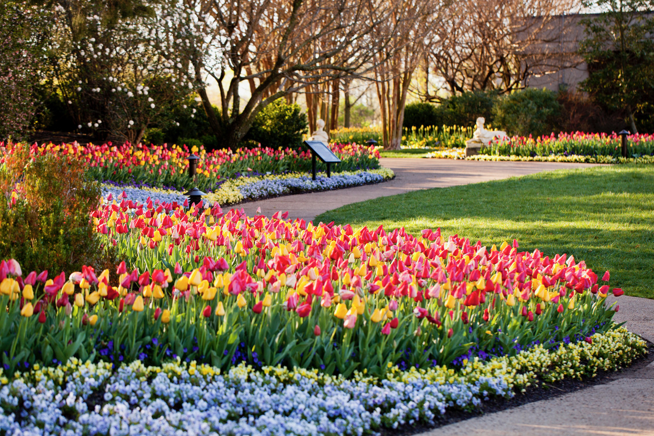 Spring Peak: 7 of the South’s Best Parks and Gardens