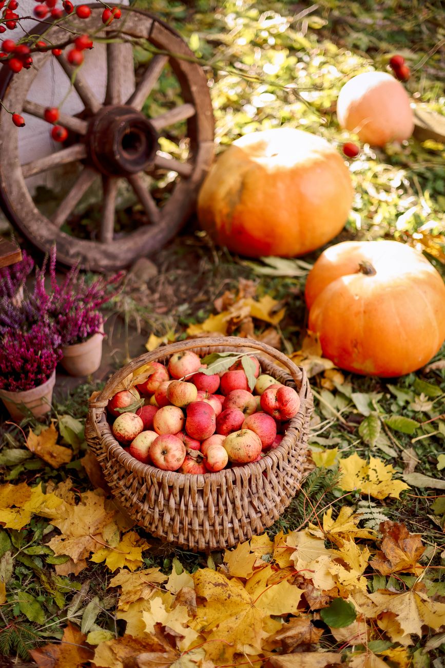 September Events and Fall Festivals Across the South